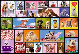 Пазл животные 1000 деталей Educa: Приятные моменты