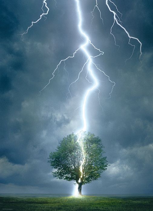 Пазл Eurographics 1000 деталей: Удар молнии в дерево