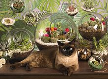 Пазл Cobble Hill 1000 деталей: Кот в террариуме цветов