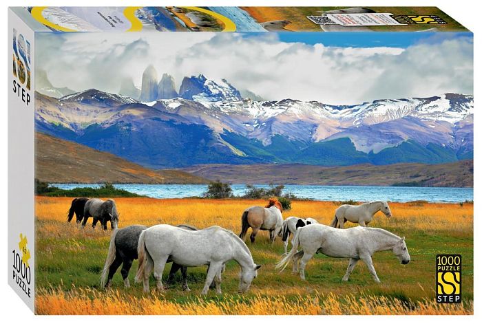 Пазл Step puzzle 1000 деталей: Лошади в национальном парке. Чили