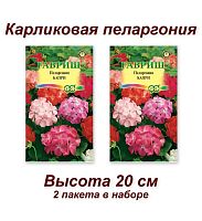 Набор семян, семена комнатных цветов карликовая Пеларгония