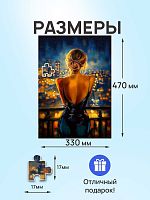 Пазл Рыжий Кот 500 деталей: Огни ночного города