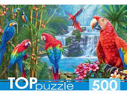 Пазл TOP Puzzle 500 деталей: Яркие попугаи