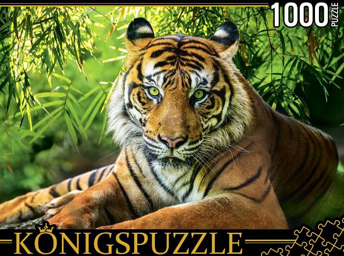 Пазл Konigspuzzle 1000 деталей: Благородный тигр