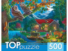 Пазл TOP Puzzle 500 деталей: Ночной пейзаж и совы