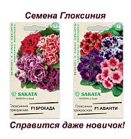 Набор семян, семена комнатных цветов Глоксиния