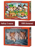 Набор Castorland 1000 деталей: Спящие котята, 2 шт