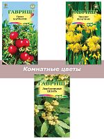 Набор семян, семена комнатных цветов Лавр, Эвкалипт, Гранат