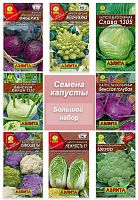 Капуста разная, 8