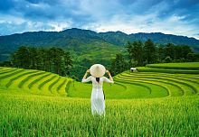 Пазл Castorland 1000 деталей: Рисовые поля во Вьетнаме