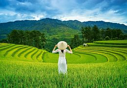 Пазл Castorland 1000 деталей: Рисовые поля во Вьетнаме
