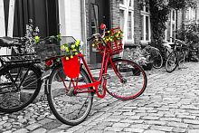 Пазл Nova 1000 деталей: Красный велосипед