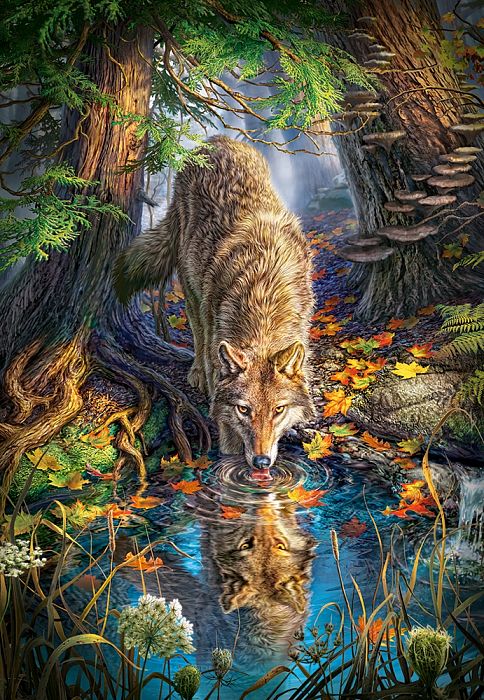 Пазл Castorland 1500 деталей: Волк в дикой природе