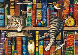 Пазл Schmidt 1000 деталей: Ч.В. Кот на книжной полке