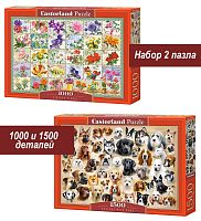 Набор Castorland 1000 и 1500 деталей: Коллажи, 2 шт