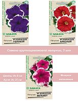 Петуния Хулахуп