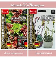 Суккуленты
