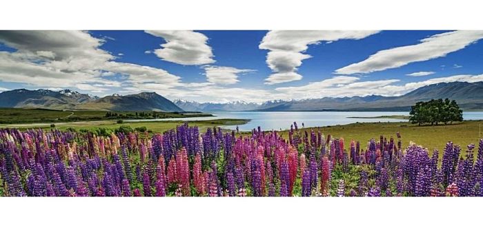 Пазл Heye 1000 деталей: Цветы на озере Текано