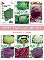 Капуста №2