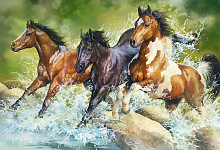 Пазл Trefl 1500 деталей: Три дикие лошади