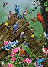 Пазл Cobble Hill 1000 деталей: Лесные птицы