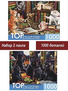 Набор Рыжий Кот 1000 деталей: Котята на столе, 2 шт