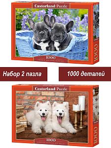 Набор Castorland 1000 деталей: Прелестные щенки, 2 шт