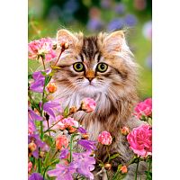 Пазл 1500 деталей Castorland Пушистик