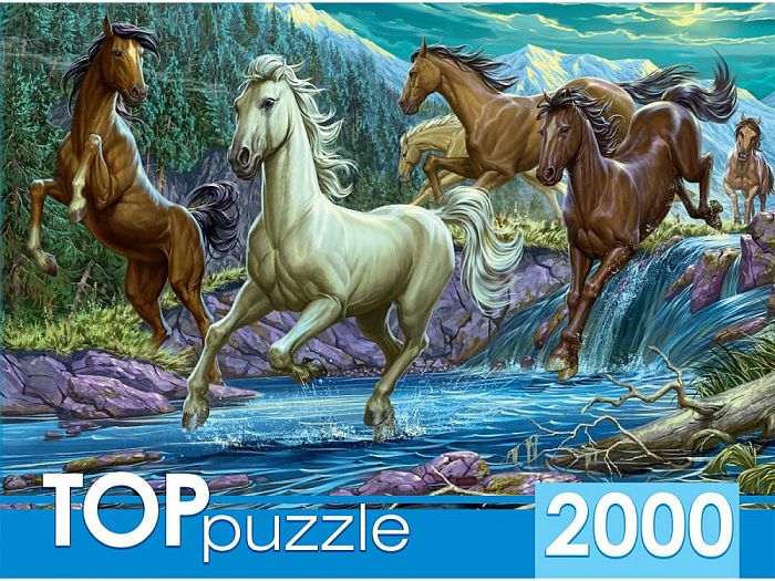 Пазл TOP Puzzle 2000 деталей: Ночной табун лошадей