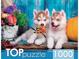 Пазл TOP Puzzle 1000 деталей: Два щенка хаски