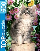 Пазл TOP Puzzle 500 деталей: Котенок в цветах