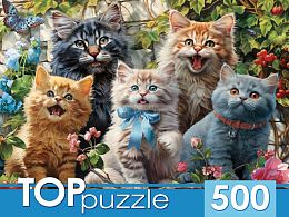 Пазл TOP Puzzle 500 деталей: Селфи котят в саду