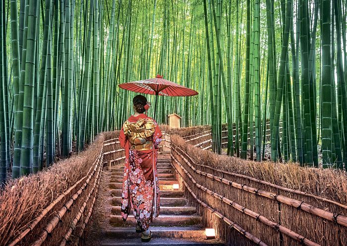 Пазл Фрея 1000 деталей: Бамбуковый лес