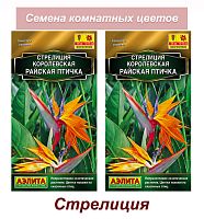 Стрелиция Аэлита