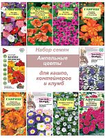 Ампельные цветы