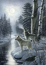 Пазл Cobble Hill 1000 деталей: Волки в новолуние