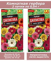 Набор семян, семена комнатных цветов Гербера