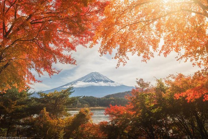 Пазл Фрея 1000 деталей: Осень в Японии