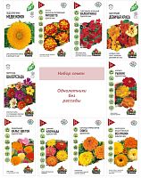 ОДЦ без рассады №3
