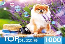 Пазл TOP Puzzle 1000 деталей: Шпиц в саду