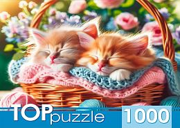 Пазл TOP Puzzle 1000 деталей: Два котенка в корзине