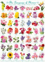Пазл Eurographics 1000 деталей: Язык цветов