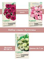 Семена однолетних цветов Эустомы