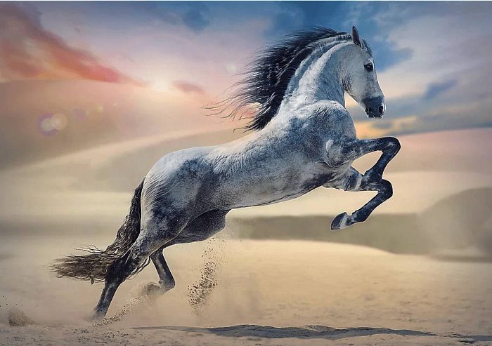 Пазл Trefl 1000 деталей: Величественная лошадь