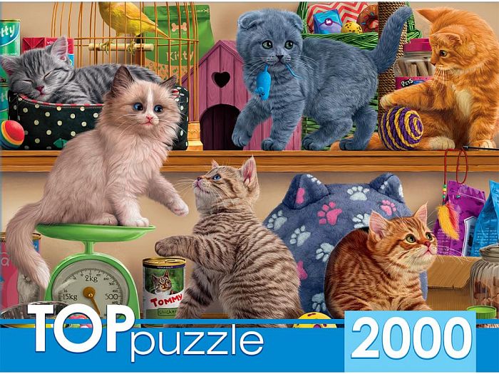 Пазл TOP Puzzle 2000 деталей: Смешные котята в зоомагазине