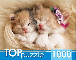 Пазл TOP Puzzle 1000 деталей: Два спящих котенка