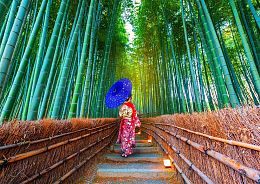 Пазл Enjoy 1000 деталей: Азиатская женщина в бамбуковом лесу