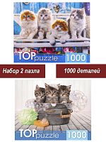 Набор Рыжий Кот 1000 деталей: Очаровательные котята, 2 шт