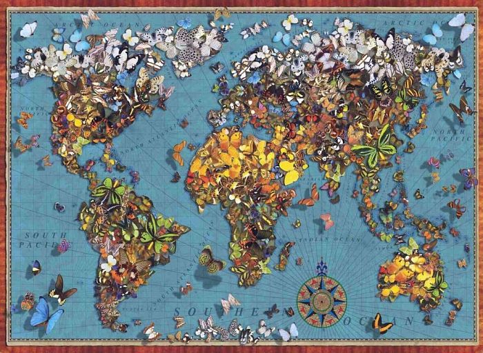 Пазл Anatolian 1000 деталей: Карта мира из бабочек