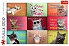 Пазл Trefl 1500 деталей: Смешные портреты кошек